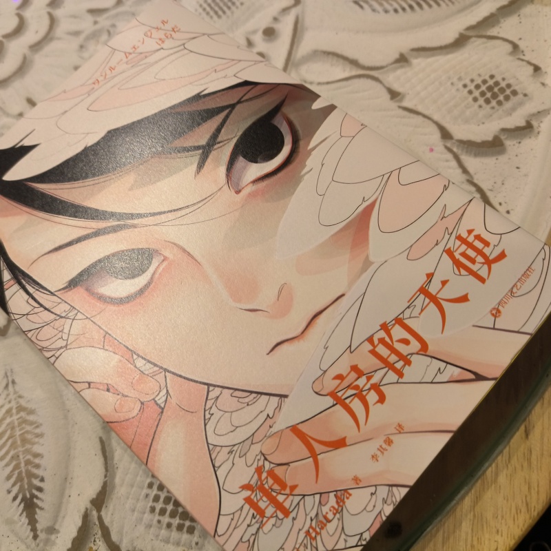 Japanese Lifestyle Books - Japanese Single Room Angel Original Comic