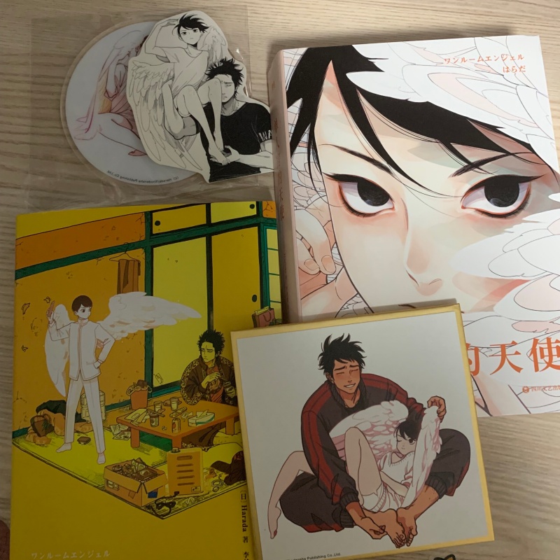 Japanese Single Room Angel Ori - огляд і ціна Japanese Lifestyle Books