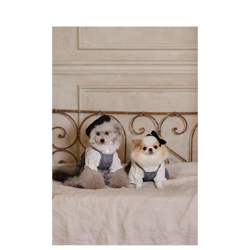 Cute Outfits for Small Dogs Ja - огляд і ціна Japanese Lifestyle Books